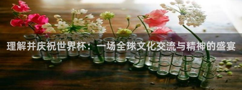 女足世界杯直播：理解并庆祝世界杯：一场全球文化交流与精神的盛宴