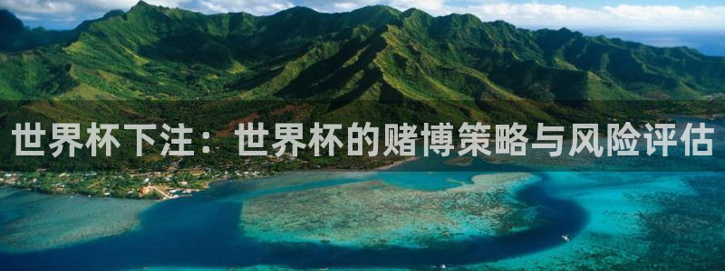世界杯预选赛赛程：世界杯下注：世界杯的赌博策略与风险评估