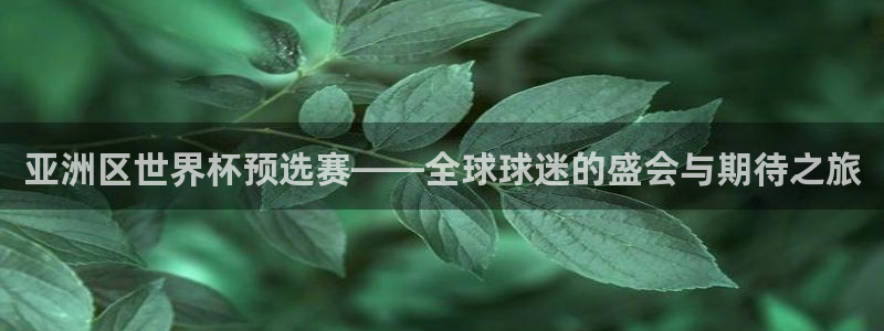 2026年世界杯：亚洲区世界杯预选赛——全球球迷的盛会与期待之旅