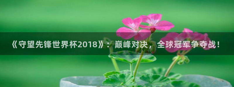 国际足联世界杯：《守望先锋世界杯2018》：巅峰对决，全球冠军争夺战！