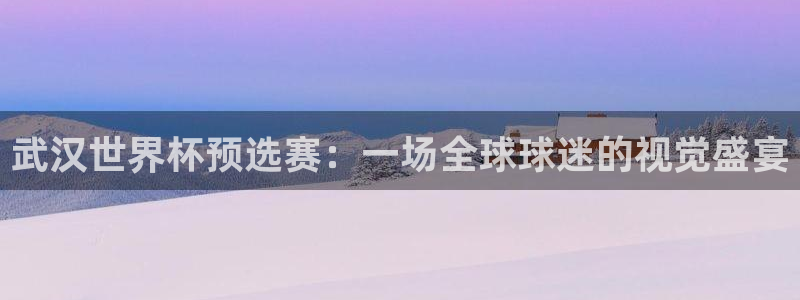 足球杯：武汉世界杯预选赛：一场全球球迷的视觉盛宴