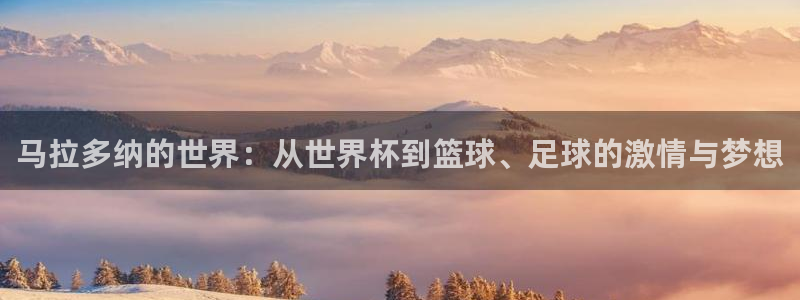 2026世界杯预选赛：马拉多纳的世界：从世界杯到篮球、足球的激情与梦想