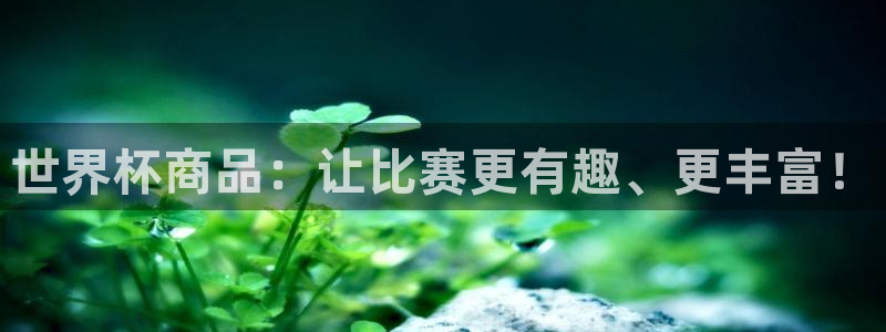 2026男足世界杯：世界杯商品：让比赛更有趣、更丰富！