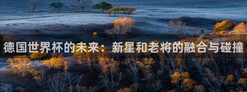 2026年世界杯赛程时间表格：德国世界杯的未来：新星和老将的融合与碰撞